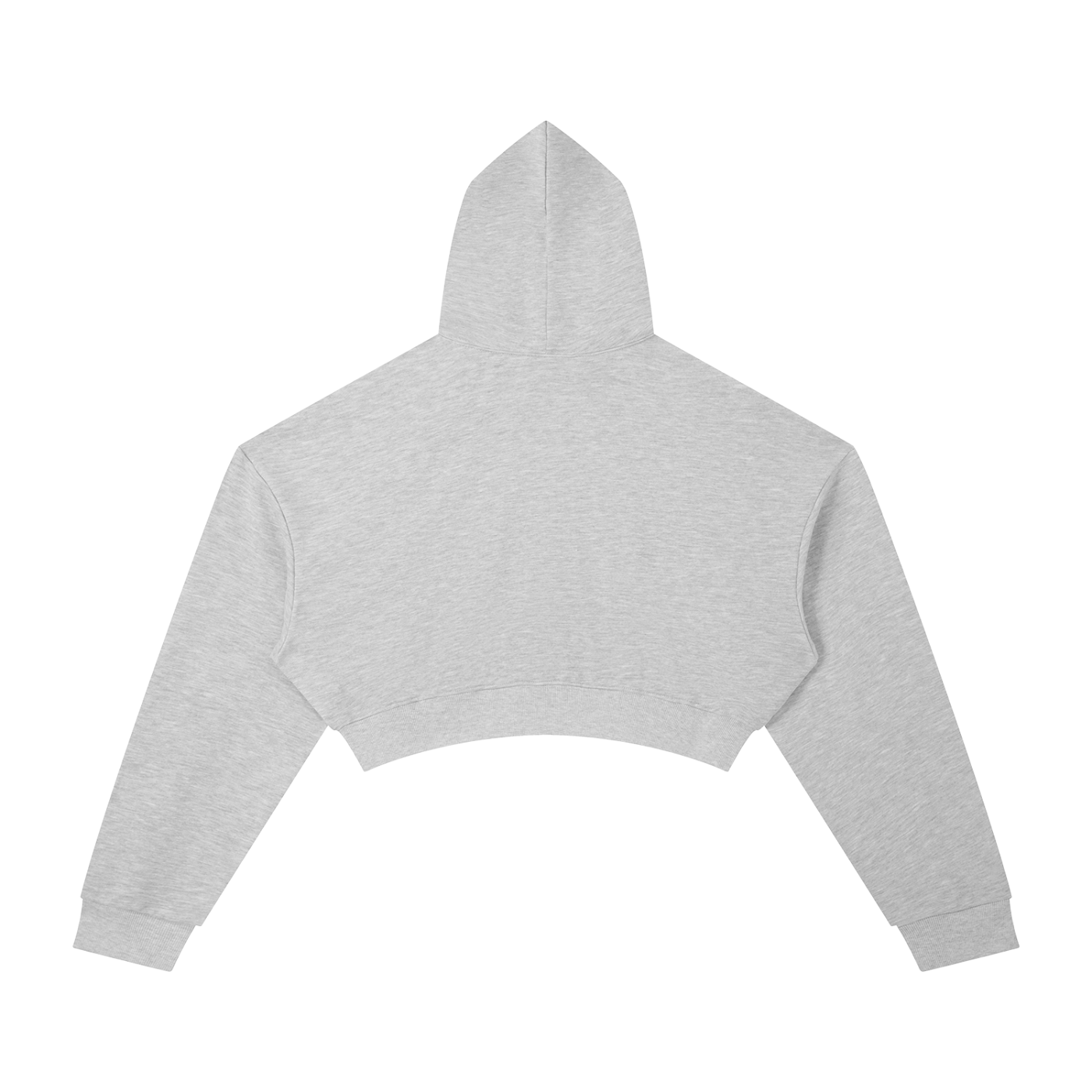 The Digital Cage Cropped Hoodie