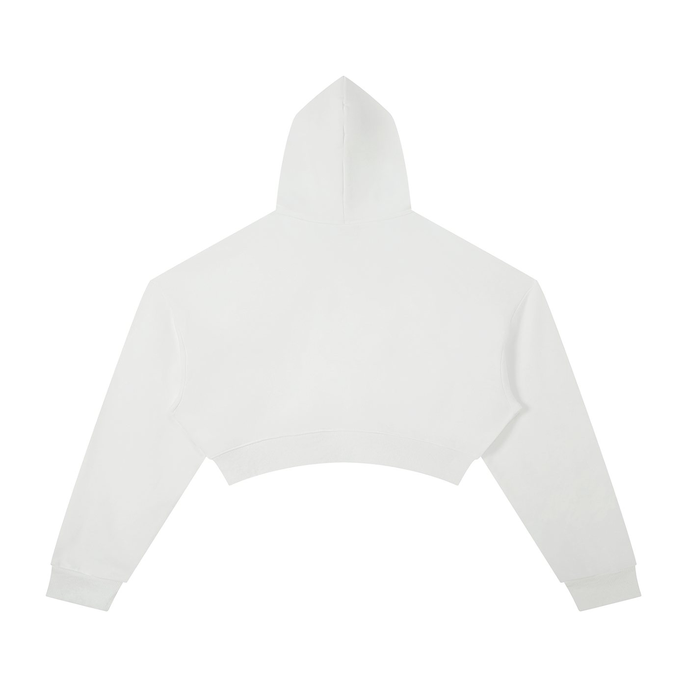 The Digital Cage Cropped Hoodie