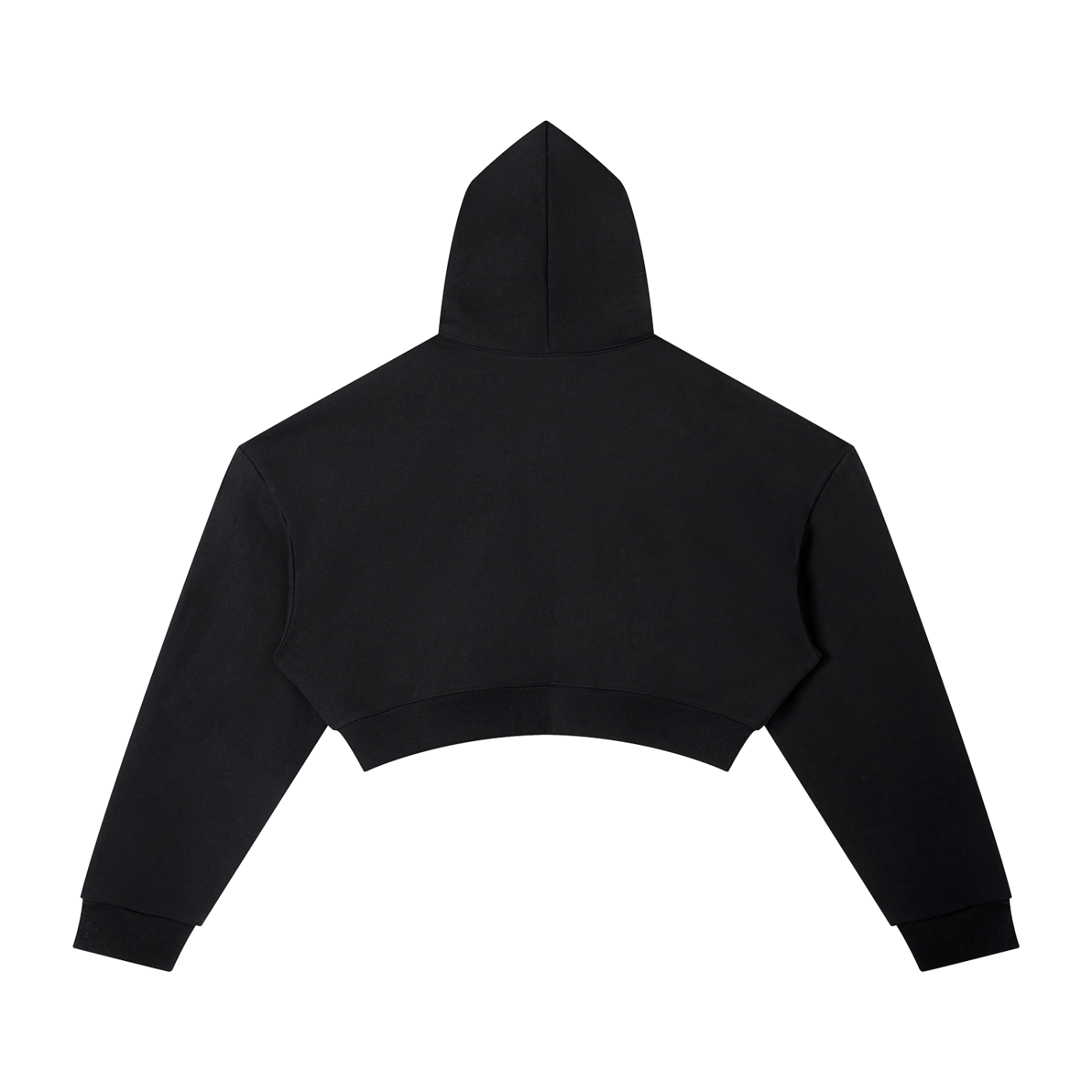 The Digital Cage Cropped Hoodie